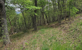 Screenshot 2026-01-19 at 2.12.11 PM